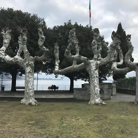 Mit Grossem Garten, Nah Am דירה